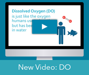 Why Monitor For Dissolved Oxygen